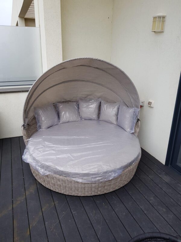 Coquille Ardea - Image 3